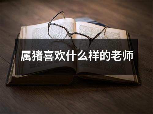 属猪喜欢什么样的老师