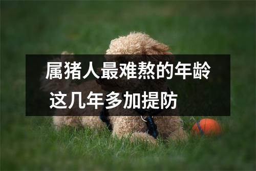 属猪人难熬的年龄这几年多加提防