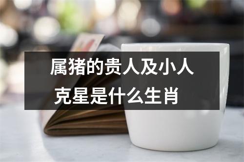 属猪的贵人及小人克星是什么生肖