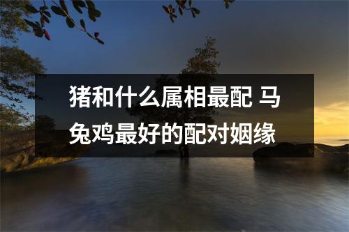 猪和什么属相配马兔鸡好的配对姻缘