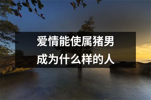 爱情能使属猪男成为什么样的人