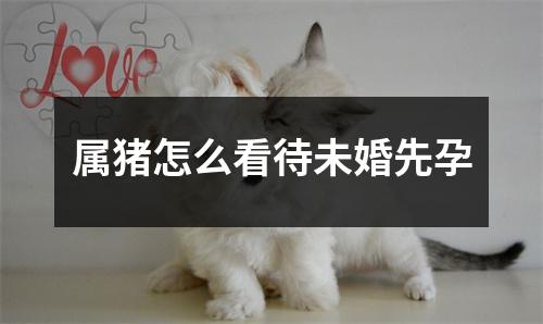 属猪怎么看待未婚先孕