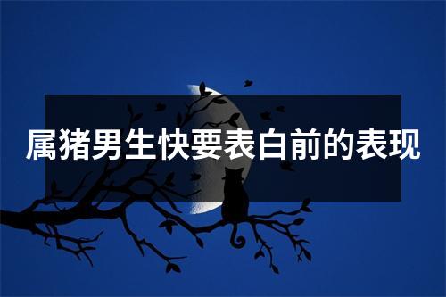 属猪男生快要表白前的表现