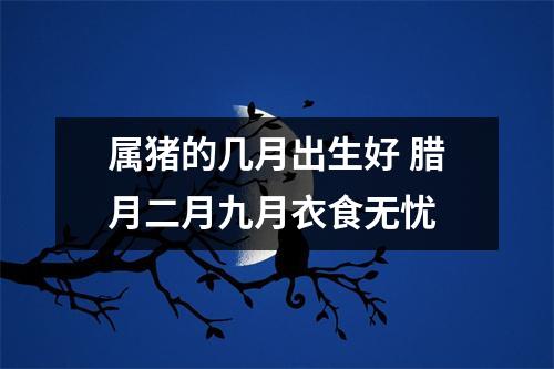 属猪的几月出生好腊月二月九月衣食无忧