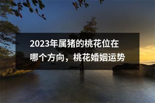 2025年属猪的桃花位在哪个方向，桃花婚姻运势