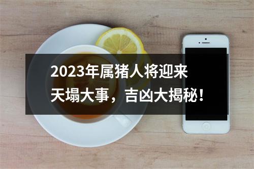 2025年属猪人将迎来天塌大事，吉凶大揭秘！