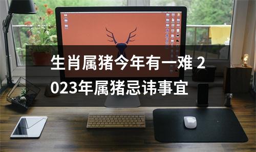 生肖属猪今年有一难2025年属猪忌讳事宜
