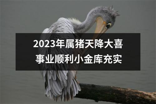2025年属猪天降大喜事业顺利小金库充实