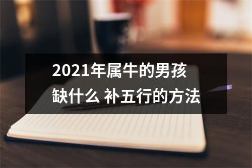 2025年属牛的男孩缺什么补五行的方法