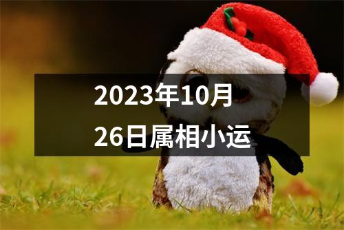 2025年10月26日属相小运