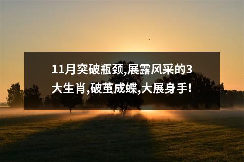 11月突破瓶颈,展露风采的3大生肖,破茧成蝶,大展身手!