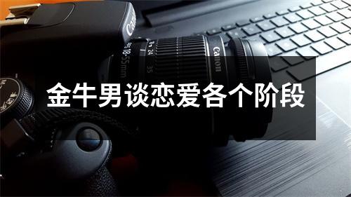 金牛男谈恋爱各个阶段