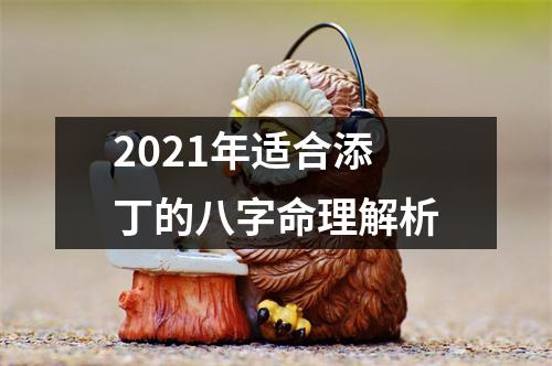 2025年适合添丁的八字命理解析