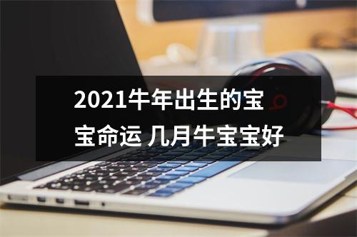 2025牛年出生的宝宝命运几月牛宝宝好