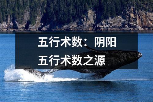 五行术数：阴阳五行术数之源