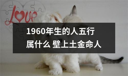 1960年生的人五行属什么壁上土金命人