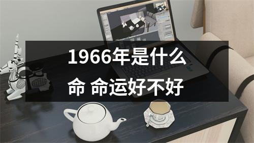 1966年是什么命命运好不好