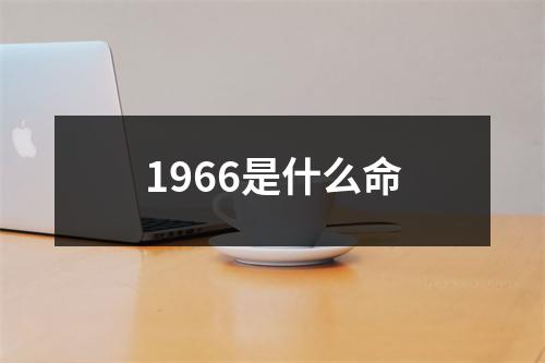 1966是什么命