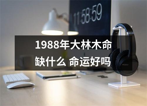 1988年大林木命缺什么命运好吗