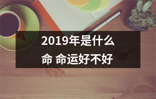 2019年是什么命命运好不好