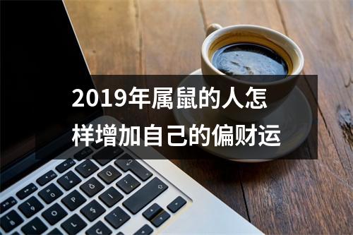 2019年属鼠的人怎样增加自己的偏财运