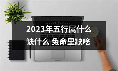 2025年五行属什么缺什么兔命里缺啥