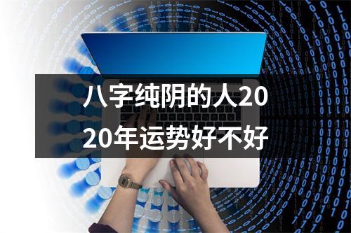 八字纯阴的人2025年运势好不好