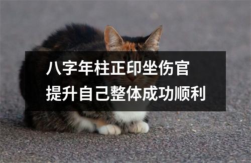 八字年柱正印坐伤官提升自己整体成功顺利