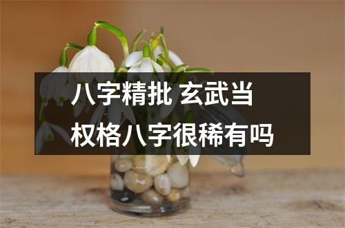 八字精批玄武当权格八字很稀有吗