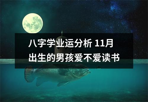 八字学业运分析11月出生的男孩爱不爱读书