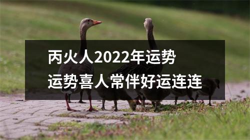 丙火人2025年运势运势喜人常伴好运连连