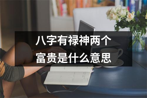 八字有禄神两个富贵是什么意思