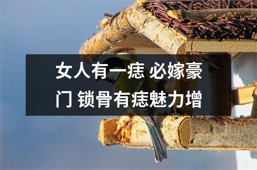 女人有一痣必嫁豪门锁骨有痣魅力增