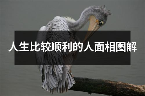 人生比较顺利的人面相图解