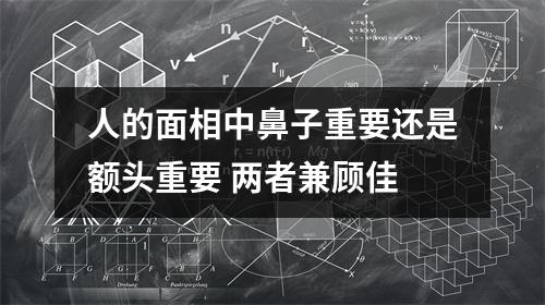 人的面相中鼻子重要还是额头重要两者兼顾佳