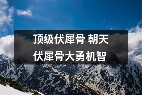 顶级伏犀骨朝天伏犀骨大勇机智