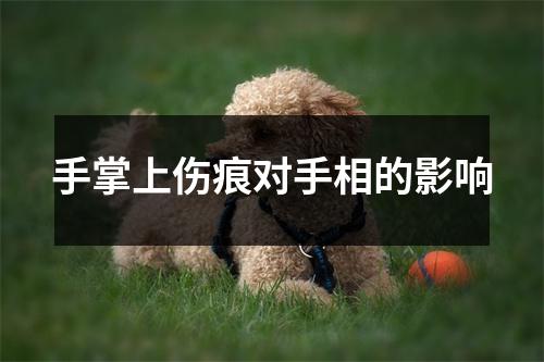 手掌上伤痕对手相的影响