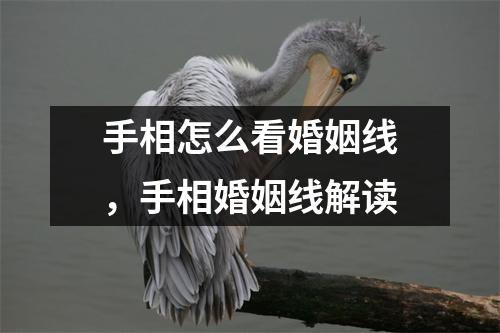 手相怎么看婚姻线，手相婚姻线解读