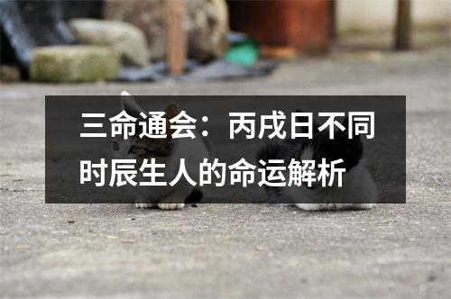 三命通会：丙戌日不同时辰生人的命运解析