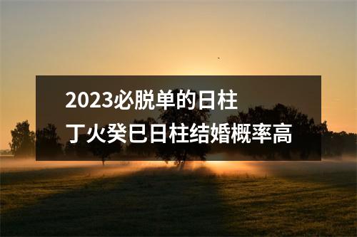 2025必脱单的日柱丁火癸巳日柱结婚概率高