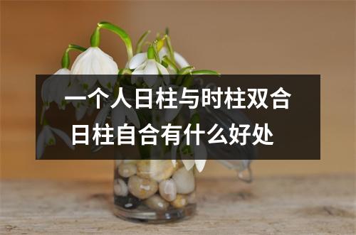一个人日柱与时柱双合日柱自合有什么好处
