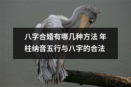 八字合婚有哪几种方法年柱纳音五行与八字的合法