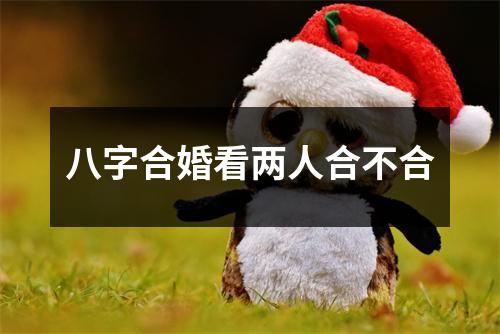 八字合婚看两人合不合