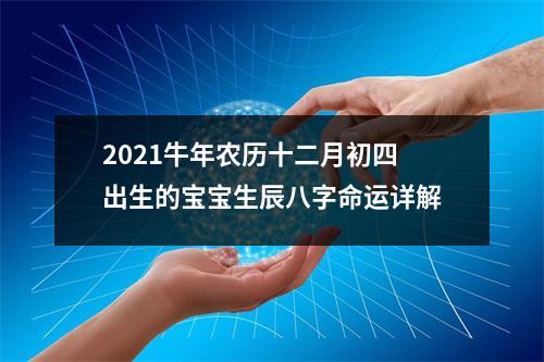 2025牛年农历十二月初四出生的宝宝生辰八字命运详解