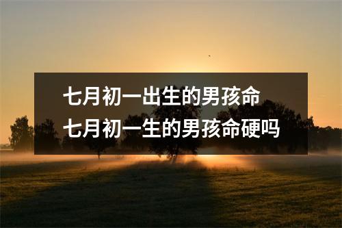 七月初一出生的男孩命七月初一生的男孩命硬吗