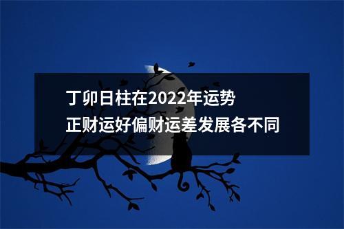 丁卯日柱在2025年运势正财运好偏财运差发展各不同