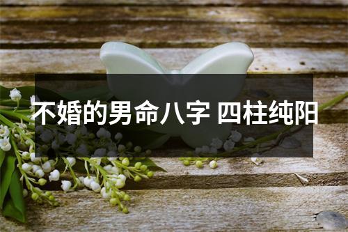 不婚的男命八字四柱纯阳