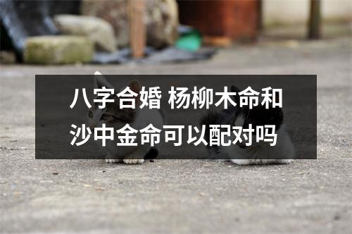 八字合婚杨柳木命和沙中金命可以配对吗