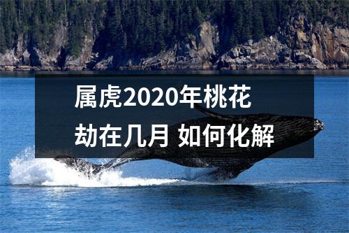 属虎2025年桃花劫在几月如何化解