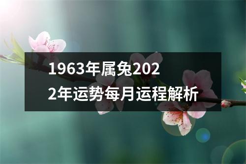 1963年属兔2025年运势每月运程解析